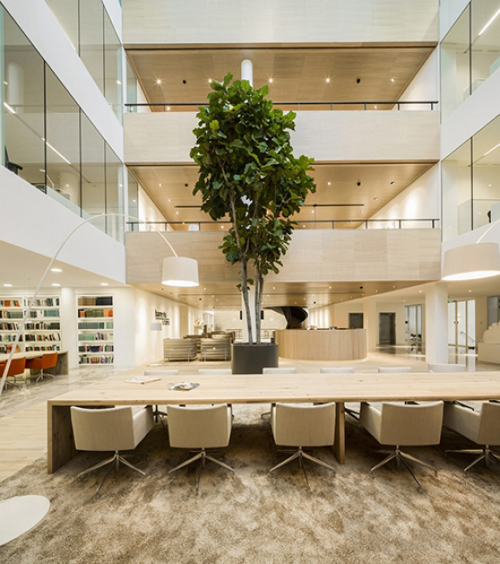 办公椅|现代真皮会议椅|办公家具|华体会体育官方在线官网家具|Masai 洽谈椅/办公椅